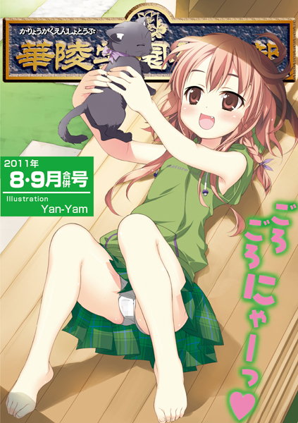 B256aokgs00099pl
