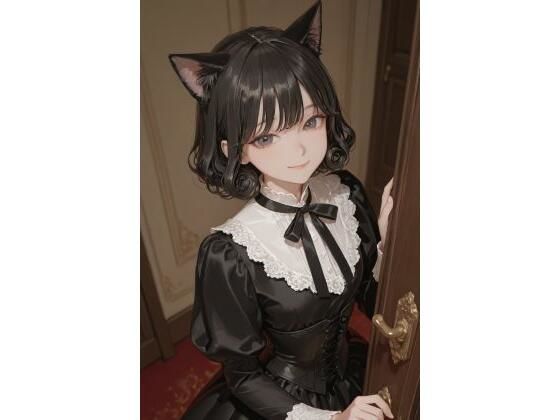 D 774162pl