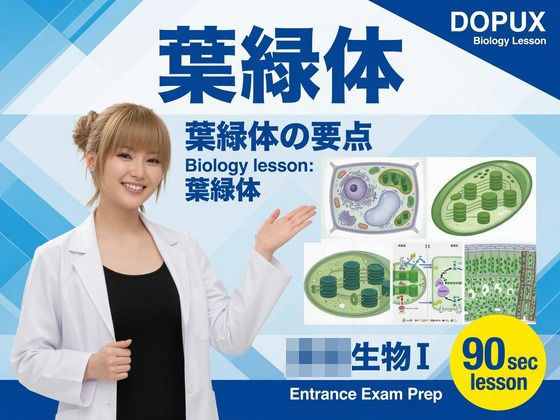 D 785047pl