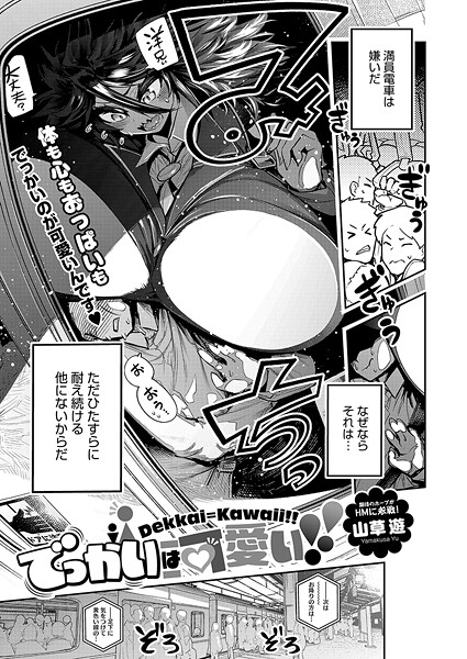 S011akamj02675pl