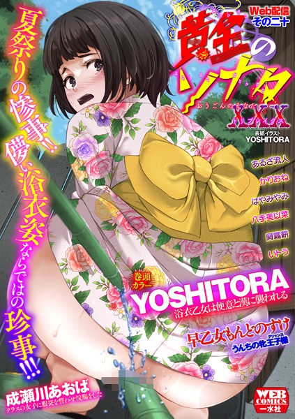 B164aisis04589pl