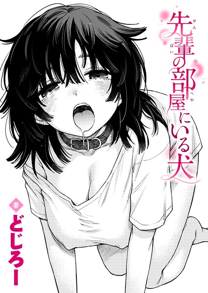 B915awnmg04409pl