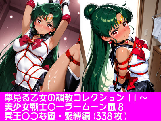 D 777941pl