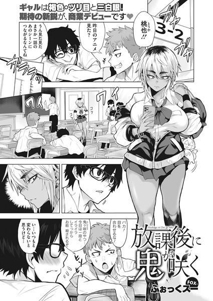 S011akamj01328pl