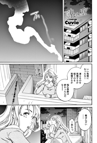 B333afjpc01088pl
