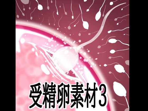 D 803737pl